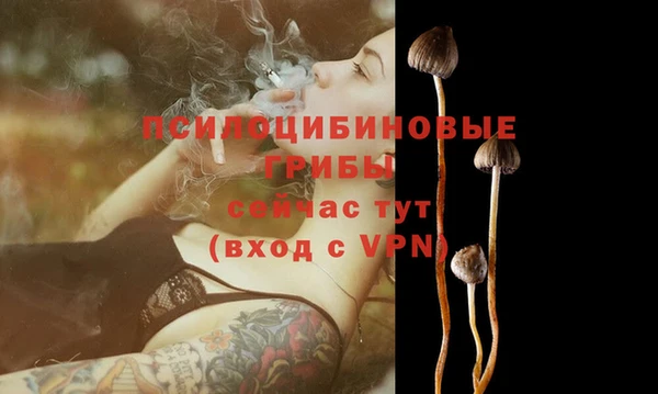 ECSTASY Верея