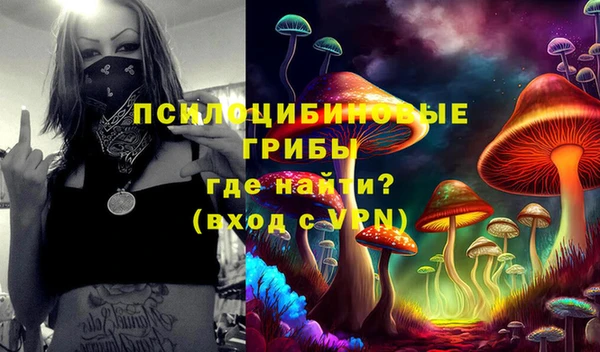 2c-b Верхнеуральск
