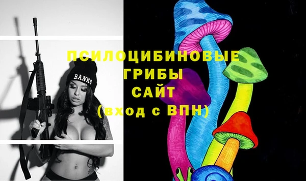 apvp Верхний Тагил