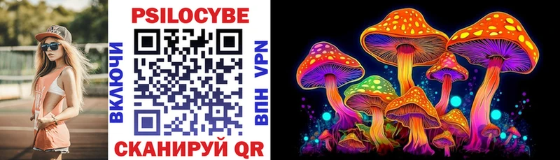 Псилоцибиновые грибы мицелий  Купить  Гурьевск 